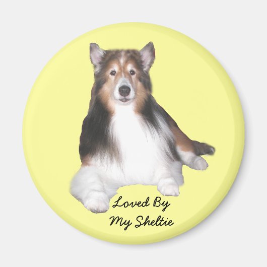 Sheltie Magnet (Vorne)
