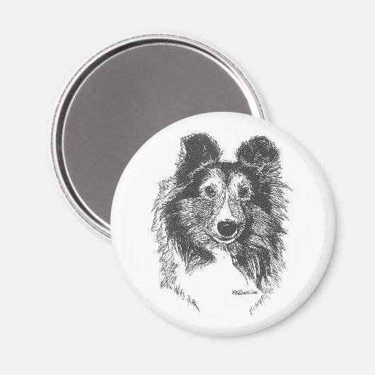 Sheltie Magnet (Vorderseite/Rückseite)