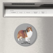 Sheltie Magnet (In Situ (Geschirrspüler))