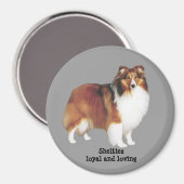 Sheltie Magnet (Vorderseite/Rückseite)