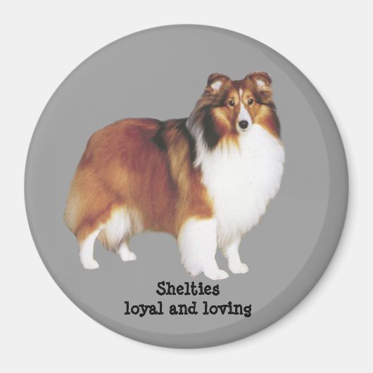 Sheltie Magnet (Vorne)