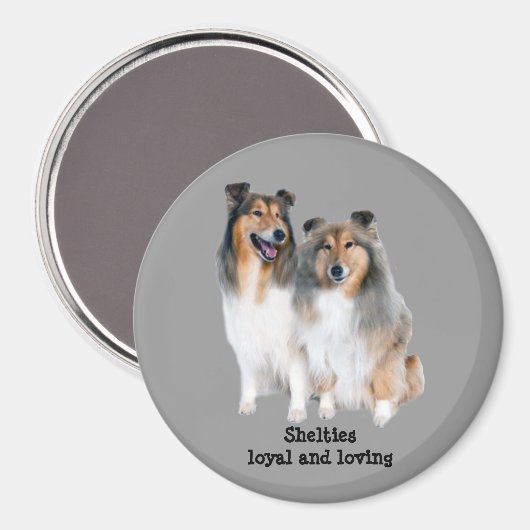 Sheltie Magnet (Vorderseite/Rückseite)