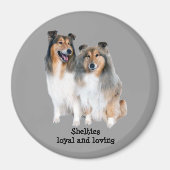 Sheltie Magnet (Vorne)