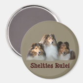 Sheltie Magnet (Vorderseite/Rückseite)