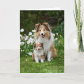 Sheltie-Mama Muttertag Liebe Karte (Vorderseite)