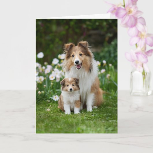 Sheltie-Mama Muttertag Liebe Karte (Orchidee)