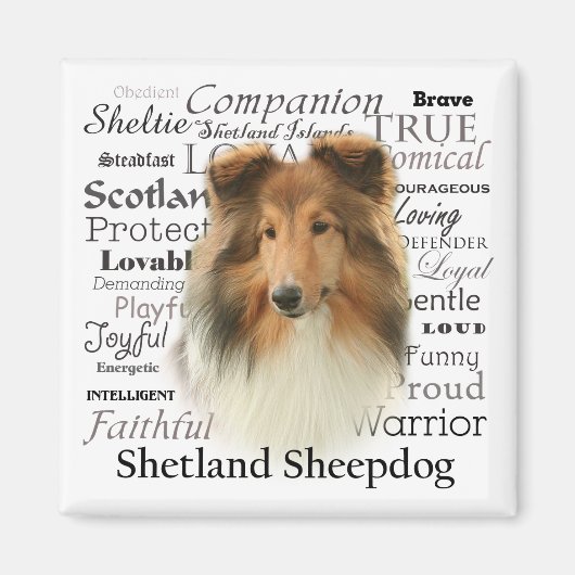 Sheltie-Merkmale Magnet (Vorne)