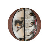 Sheltie Mini Basketball (Vertikal)