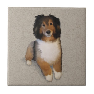 Sheltie-Mischlingshund-Porträt Fliese