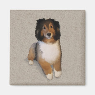 Sheltie-Mischlingshund-Porträt Magnet