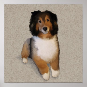 Sheltie-Mischlingshund-Porträt Poster