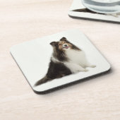 Sheltie Mischungs-u. Match-Untersetzer Getränkeuntersetzer (Linke Seite)