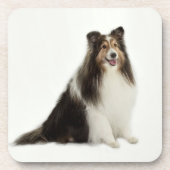 Sheltie Mischungs-u. Match-Untersetzer Getränkeuntersetzer (Vorderseite)