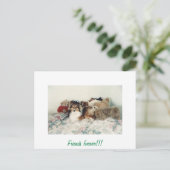 Sheltie mit gestopften Tieren Postkarte (Stehend Vorderseite)