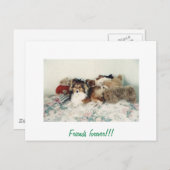 Sheltie mit gestopften Tieren Postkarte (Vorne/Hinten)