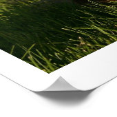 Sheltie mit Hat Poster (Ecke)