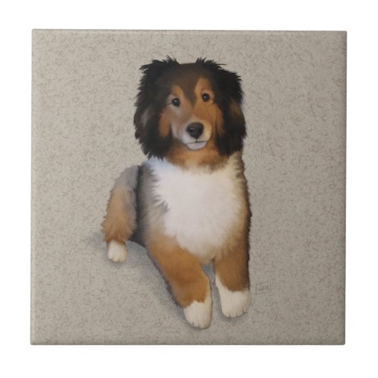 Sheltie Mix Hundportrait Fliese (Vorderseite)