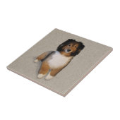 Sheltie Mix Hundportrait Fliese (Seite)