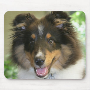 Sheltie Mousepad