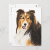 Sheltie oder Shetland Sheepdog-Malerei Postkarte (Vorne/Hinten)