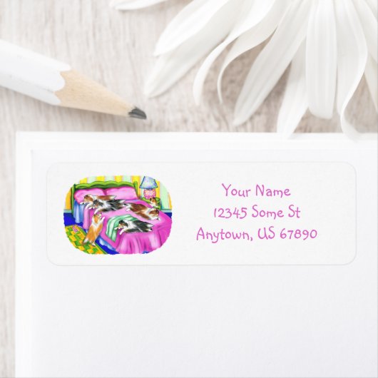 Sheltie Pink Comfort (Insitu)