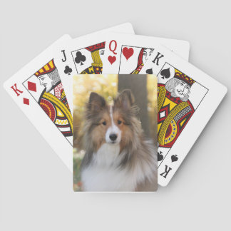Sheltie Playing Cards Spielkarten