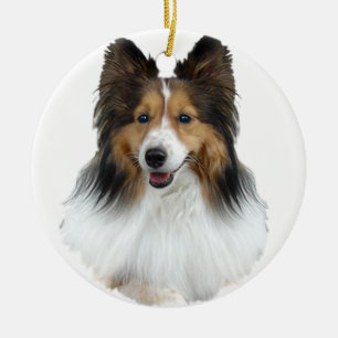 Sheltie Portrait Keramikornament