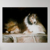 Sheltie Poster (Vorne)