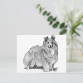 Sheltie Postkarte (Stehend Vorderseite)