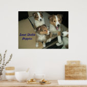 Sheltie Puppies Poster (Küche)