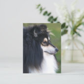 Sheltie Puppy Postkarte (Stehend Vorderseite)
