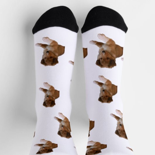 Sheltie Puppy Socken (Oben)
