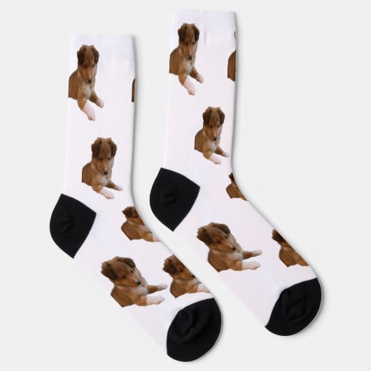Sheltie Puppy Socken (Rechts)