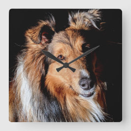 Sheltie Quadratische Wanduhr