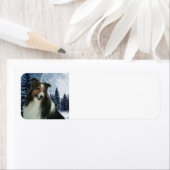 Sheltie Rücksendeadresse (Insitu)