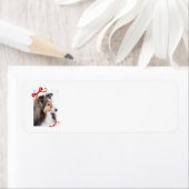 Sheltie Rücksendeadresse (Insitu)