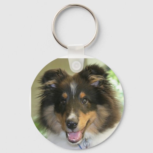 Sheltie Schlüsselanhänger (Vorderseite)