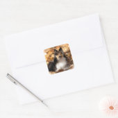 Sheltie Shetland Sheepdog Art Malerei Quadratischer Aufkleber (Umschlag)
