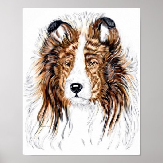 Sheltie Shetland Sheepdog Bust Poster (Vorne)