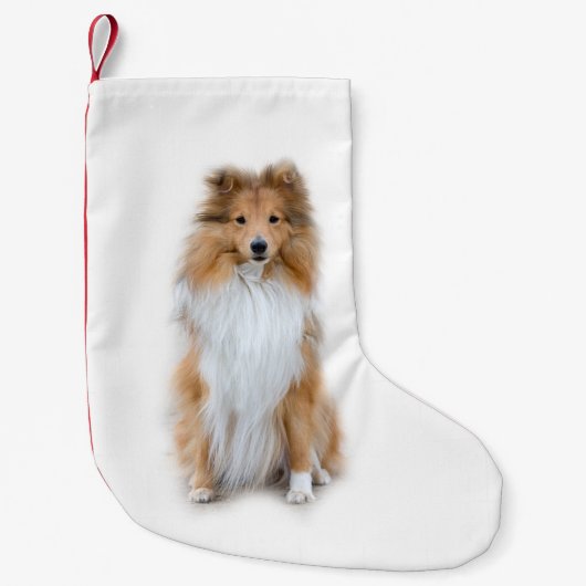 Sheltie Shetland Sheepdog Kleiner Weihnachtsstrumpf (Vorderseite)