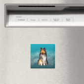 Sheltie Shetland Sheepdog Magnet (In Situ (Geschirrspüler))