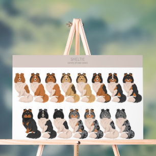 Sheltie, Shetland Sheepdog-Mischung Acrylschild