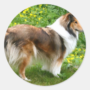 Sheltie Shetland Sheepdog Painting Runder Aufkleber