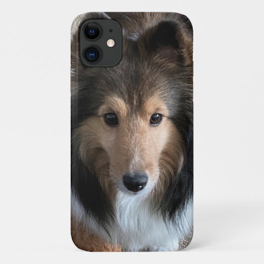 Sheltie Smartphone Case (Rückseite)