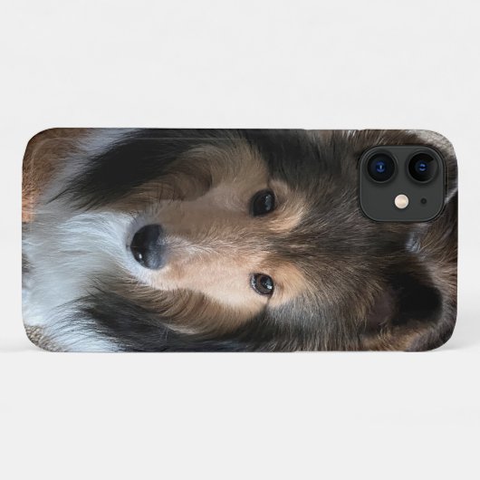 Sheltie Smartphone Case (Rückseite (Horizontal))