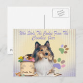 Sheltie stahl das Cookie von Cookie JAR Cards Postkarte (Vorne/Hinten)
