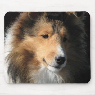 Sheltie stellen gegenüber mousepad