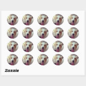 Sheltie Sticker (Blatt)