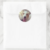 Sheltie Sticker (Tasche)