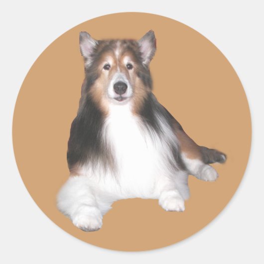 Sheltie Sticker (Vorderseite)